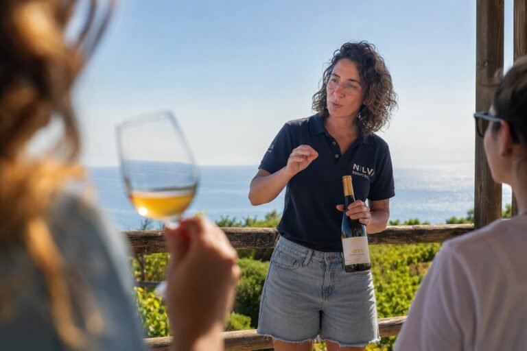 Wine tasting in front of the coast